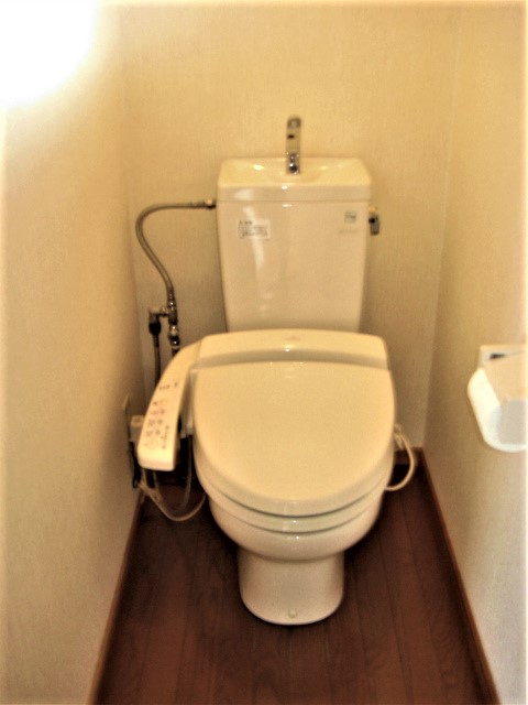 �V�����[�g�C��